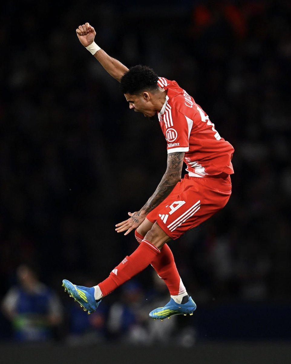 Félix de Bedout tweet media