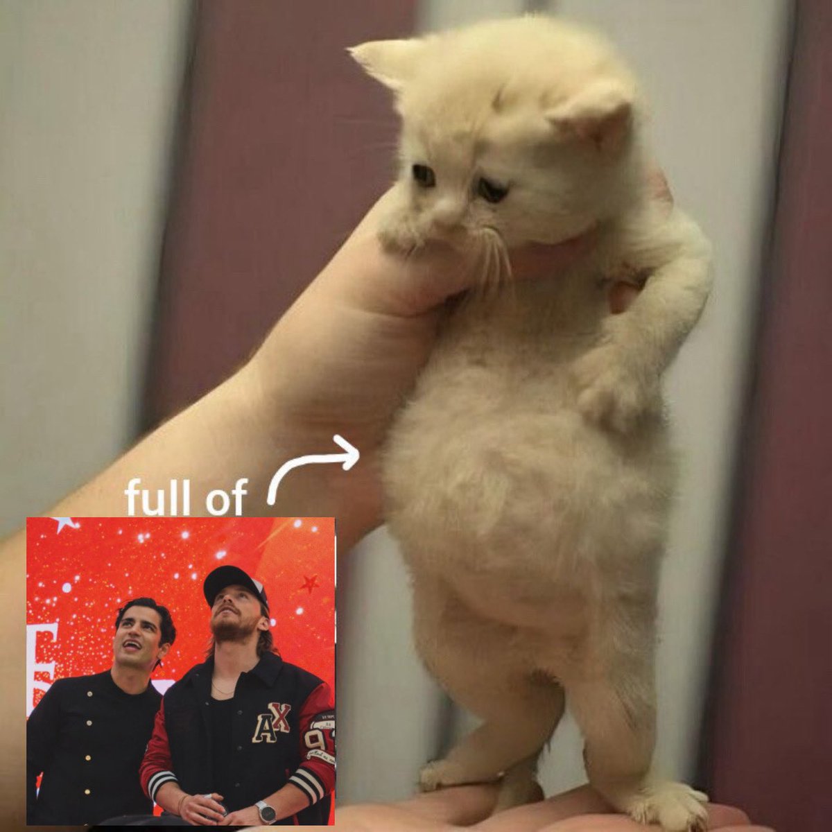 🩵🤎 justkailuv | ⭐️ tweet media