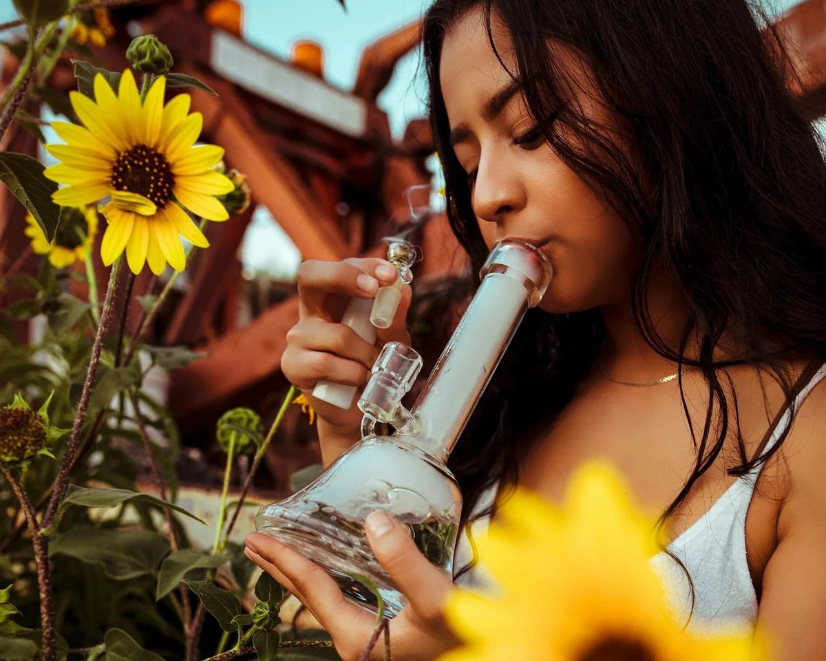 Silly Nice | Handcrafted NY Cannabis tweet media