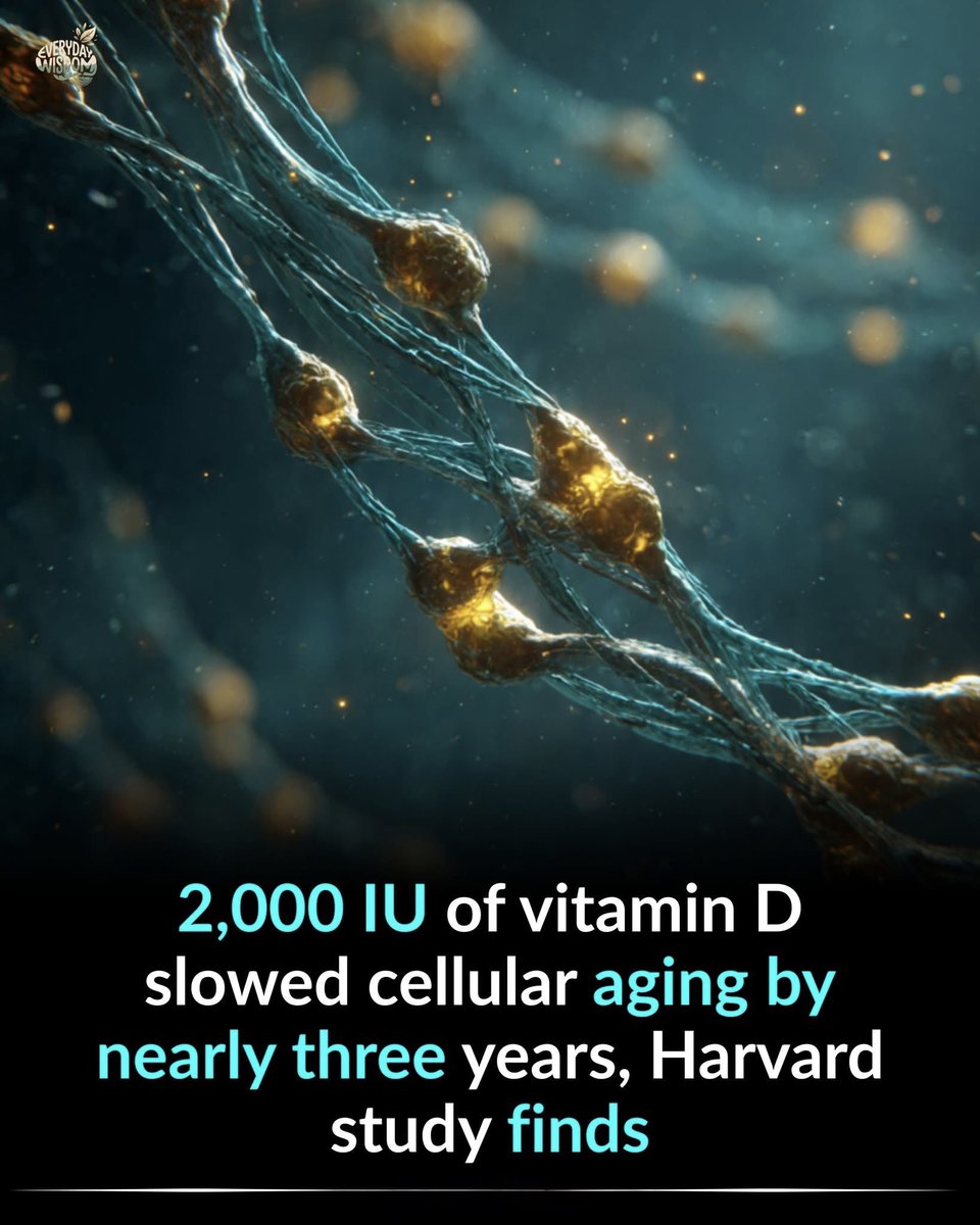 SciTech Girl tweet media