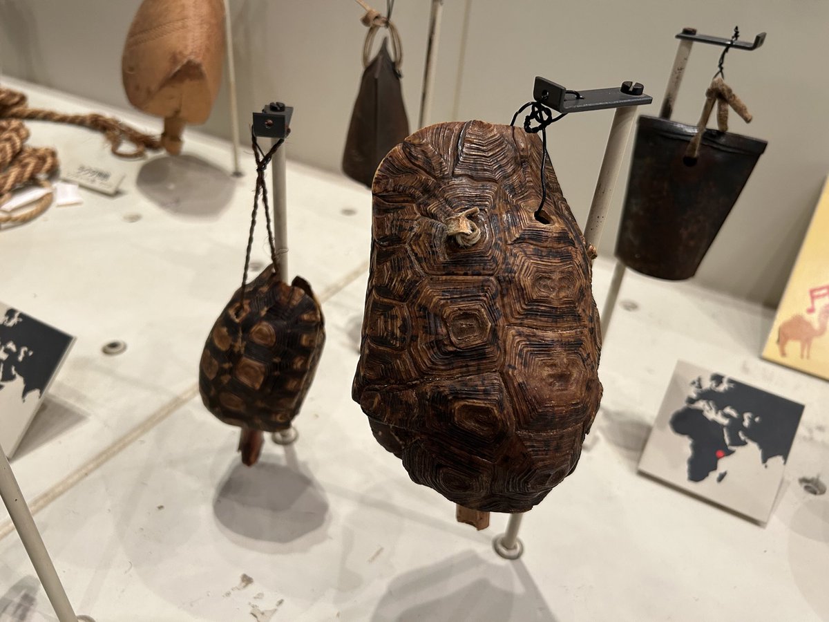 娘のリクエストでリトルワールドへ。

アフリカの古代家畜用のベルとして展示されていたモノ…

ヒガシベルとスピーク❓
現地では、資源としても活用されていたという訳ですね。