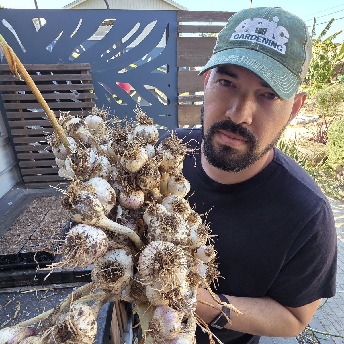 Kevin → Plant Daddy tweet media