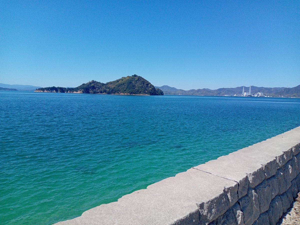 く〜どん🌛👋🐰🥕⚾️⛸️ tweet media