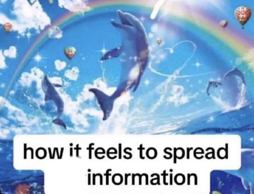 Lil fella tweet media