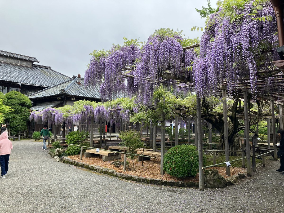 豪農の館 北方文化博物館 tweet media