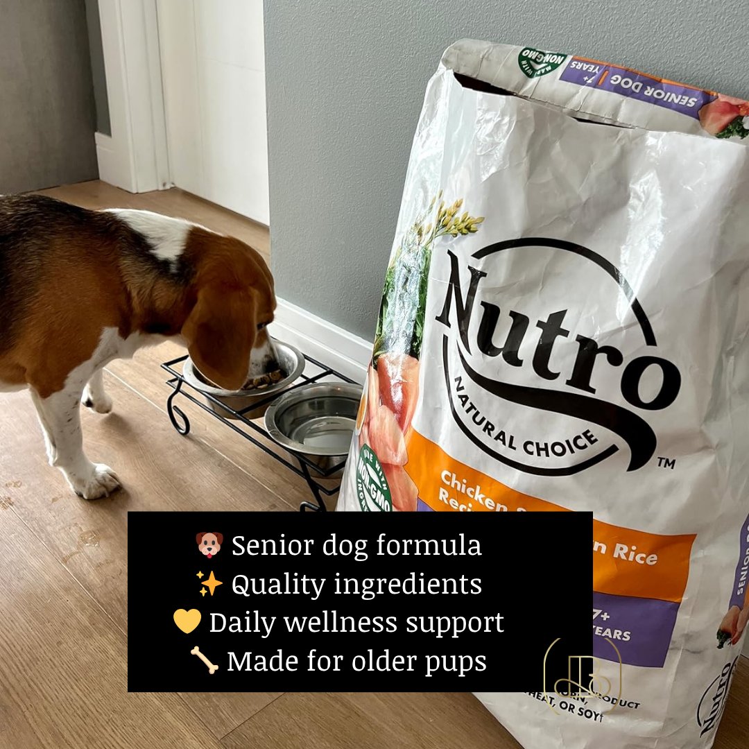 BubblyMoments's tweet image. For happy senior pups 🐶✨
 Nutro Natural Choice Senior Dog Food — quality daily nutrition 💛

🛒 Shop Here: amzn.to/4dbFQPg

#DogFood #SeniorDogs