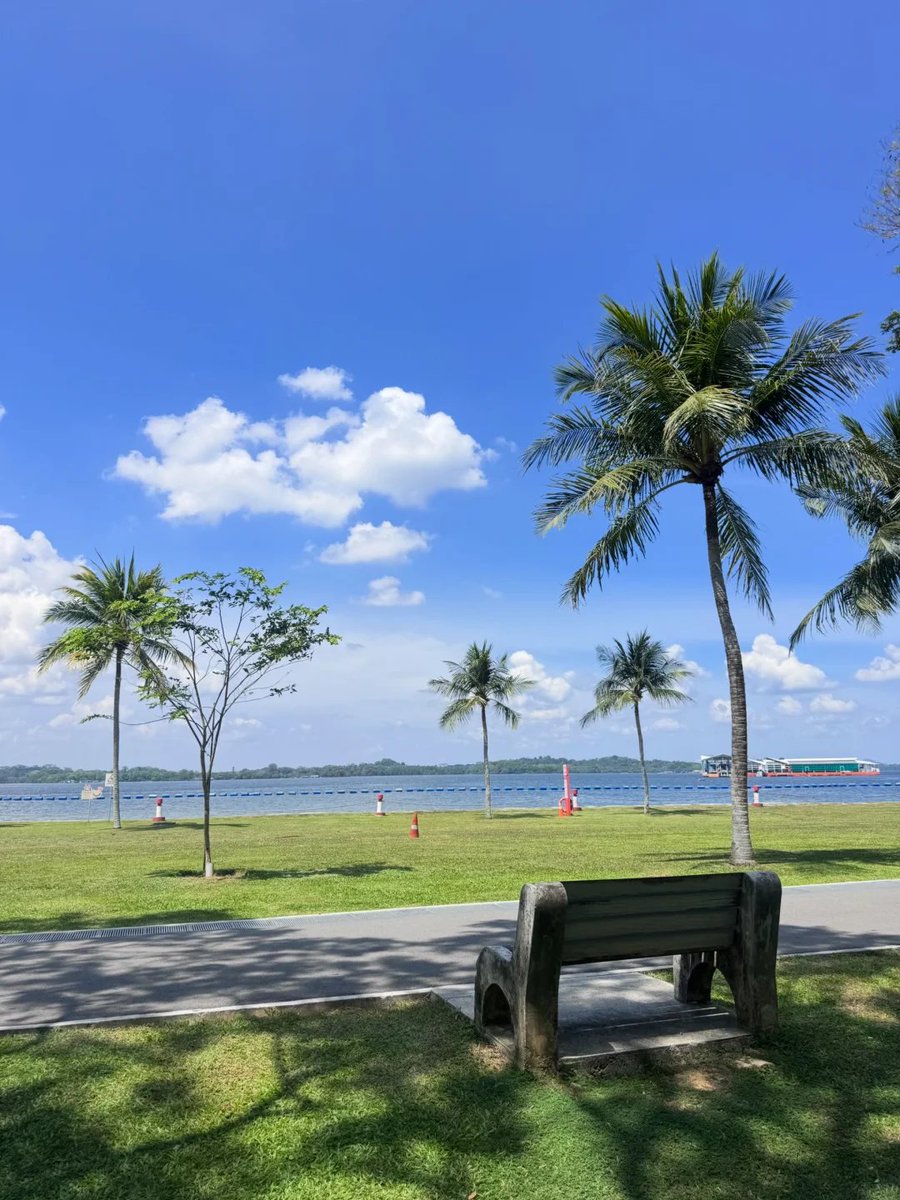 Amity_TYY's tweet photo. Singapore's parks are tiered, and I would give Pasir Ris Park first place. https://t.co/LRfKmJmFSS
