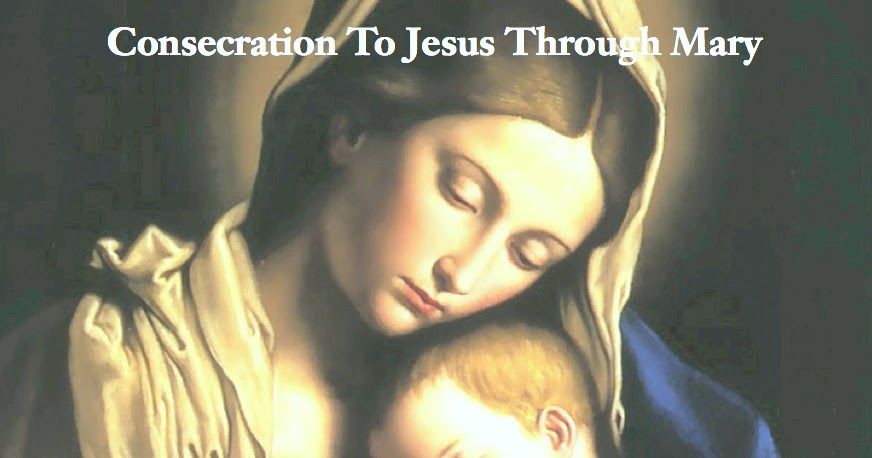 catholicnews1's tweet image. What is True Devotion? Consecration to Jesus through the Heart of #Mary as Recommended by St. Pope John Paul II and Composed by St. Louis de Montfort
catholicnewsworld.com/2026/04/what-i…