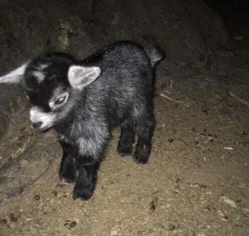 𝖎zeta 🚯 tweet media