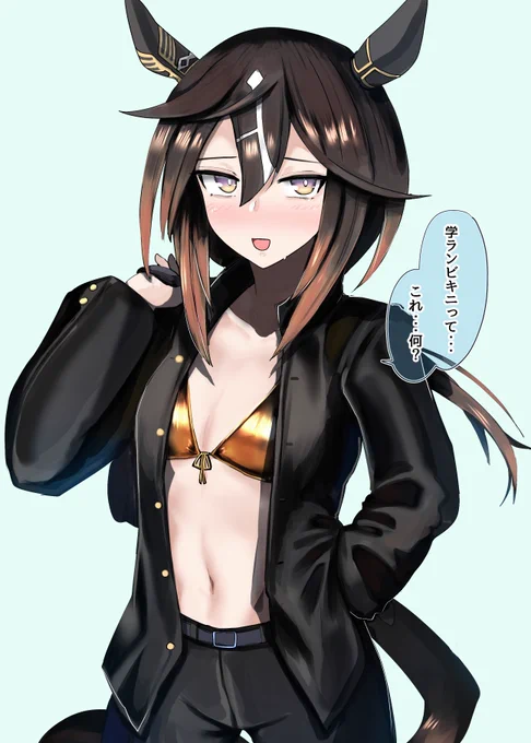 学ランビキニ…って何?
