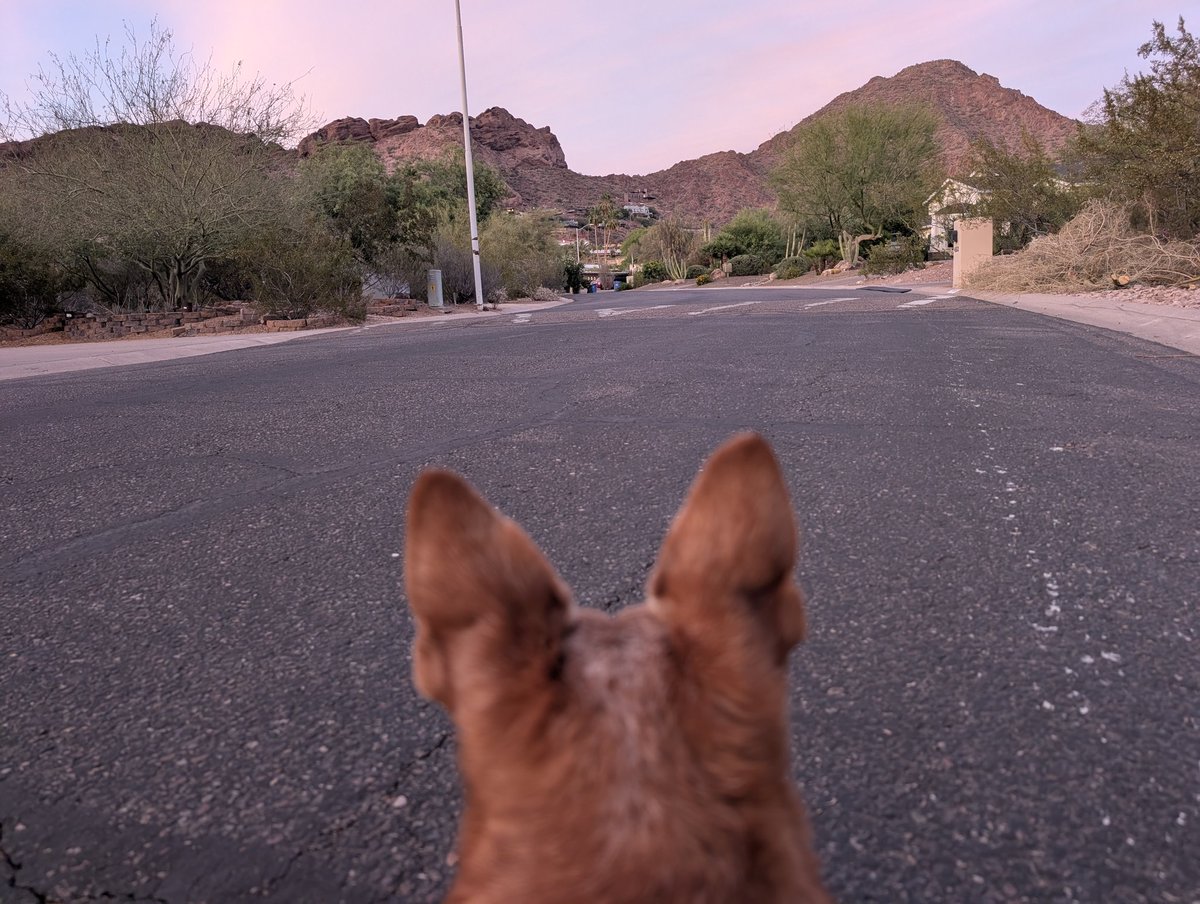 HillaryHutton's tweet image. Tonight's walk. 
#CamelbackMointain
#Phoenix