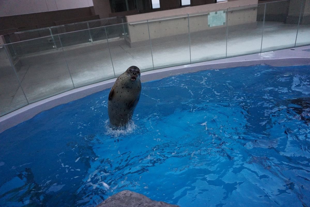 Paps (•⩊• っ)3 tweet media