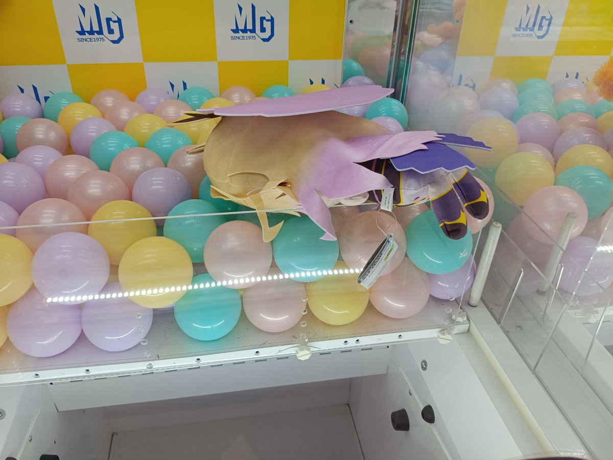 アクアー tweet media