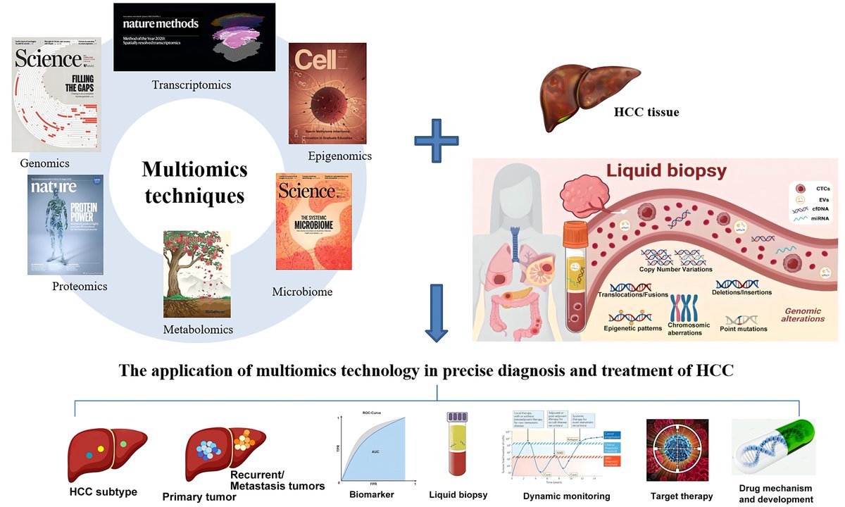 HepatomaRes's tweet image. 🧬 From genomics to metabolomics, multi-omics is redefining how we classify, diagnose, and treat hepatocellular carcinoma.

This review highlights a new era of data-driven, personalized care.

🔗 f.oaes.cc/xmlpdf/92b4eee…
#HCC #MultiOmics #PrecisionMedicine #CancerResearch