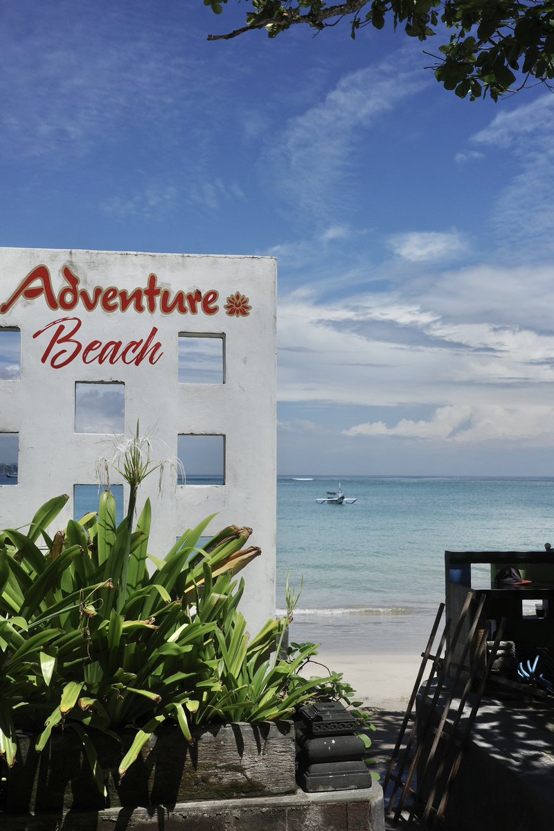 browncat_53's tweet image. 📍Jimbaran Beach
ラクダに乗って海辺を歩く体験を🐪🌊✨
スタッフのカメラマンさんが綺麗な写真(1枚目)を撮ってくれました🙏🏻📸 #Bali