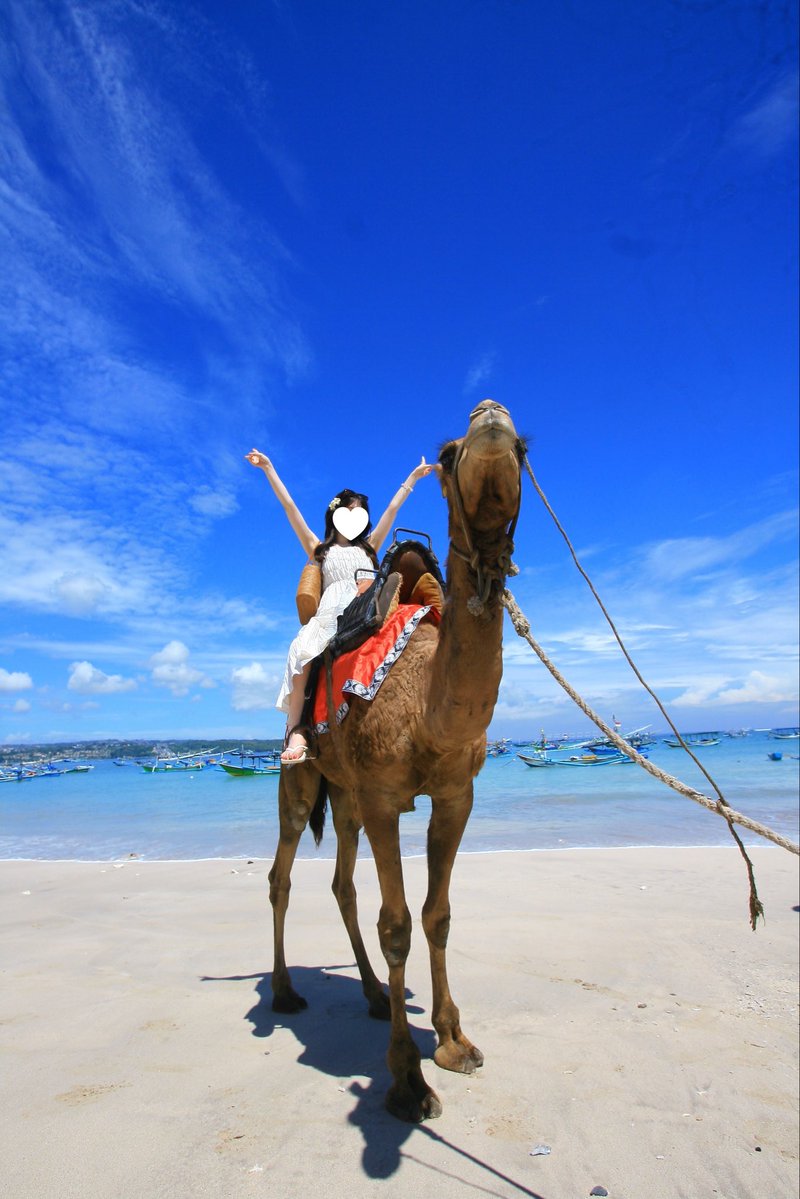 browncat_53's tweet image. 📍Jimbaran Beach
ラクダに乗って海辺を歩く体験を🐪🌊✨
スタッフのカメラマンさんが綺麗な写真(1枚目)を撮ってくれました🙏🏻📸 #Bali