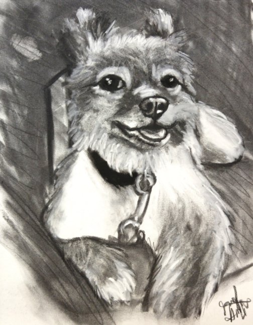 hat921's tweet image. jameshatfieldillustration.art

#art #artist #drawing #charcoal #pastels #animals #portraits #events #gallery #LDCC #fyp