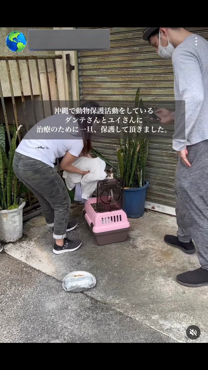 デビさん tweet media