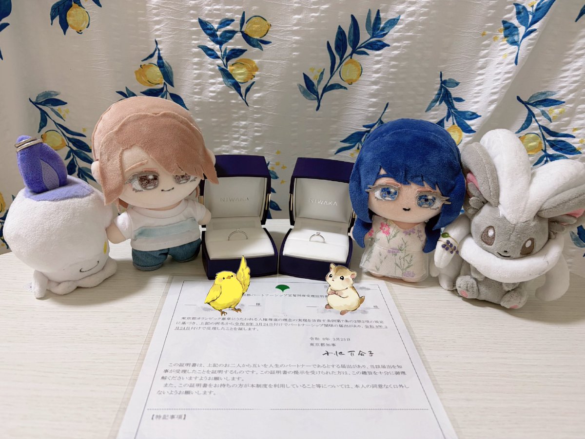 はむはむ🌟 tweet media