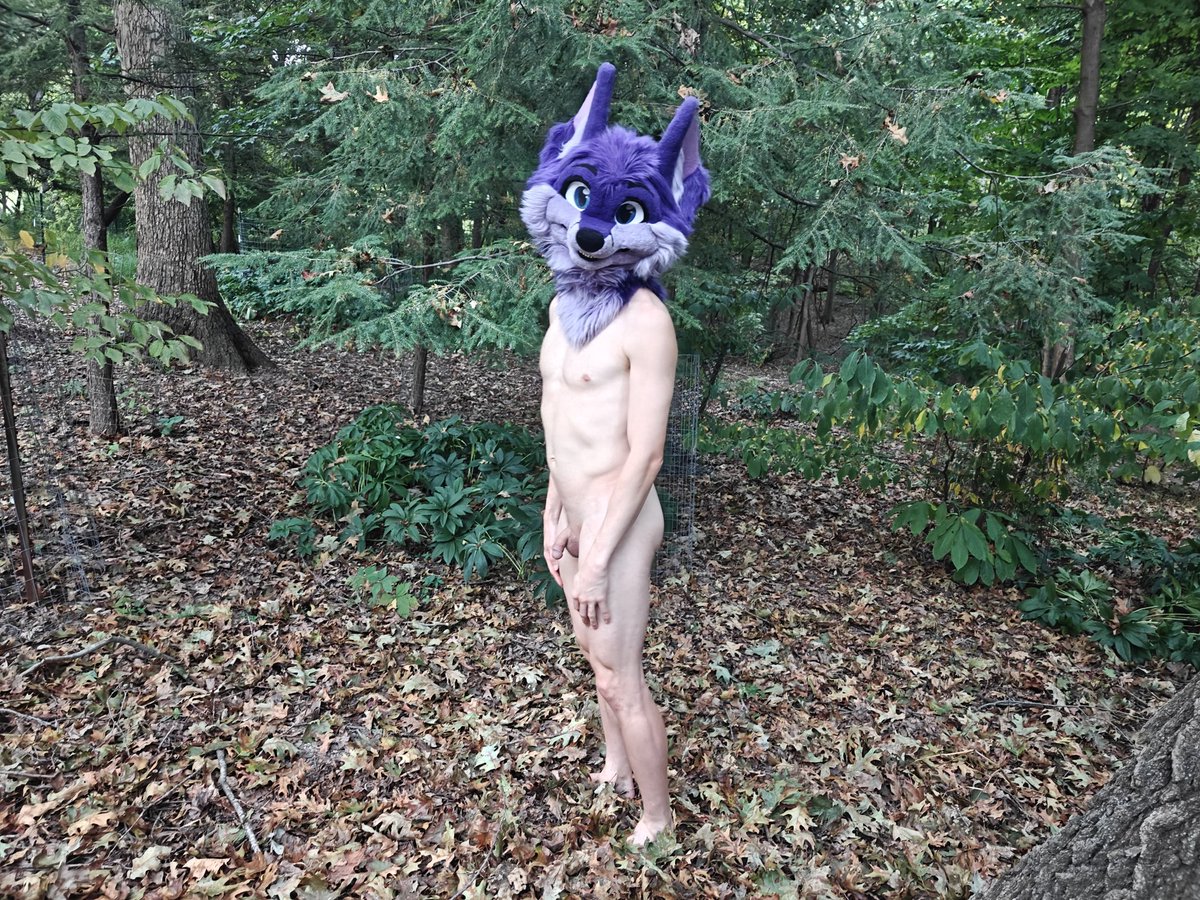 Niqnaq Fox AD tweet media