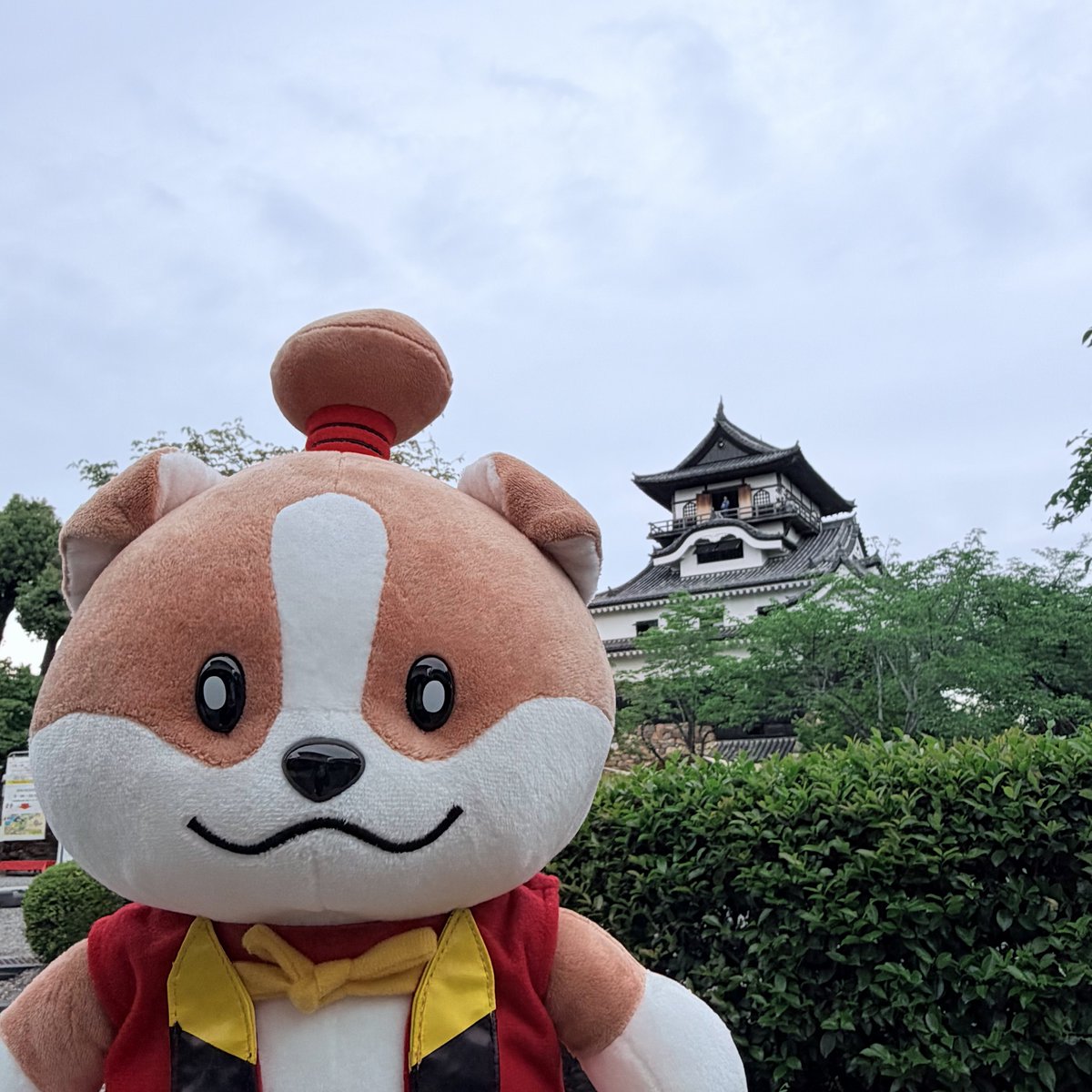 よ こ づ な tweet media