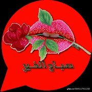 +كبير tweet media