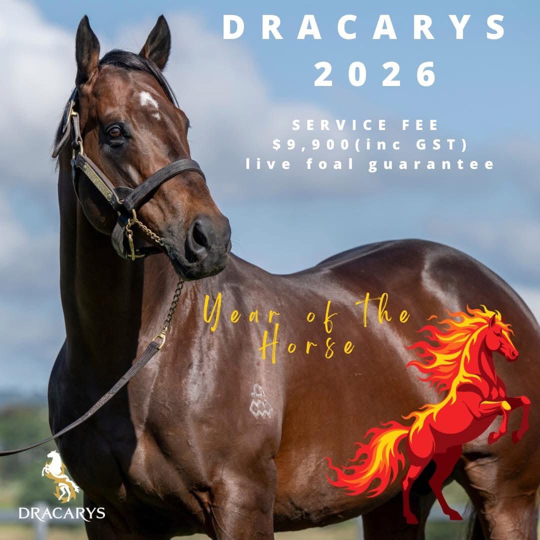 DracarysSire's tweet photo. DRACARYS 2026 SERVICE FEE
Dracarys continues to deliver where it counts, on the track and in the sale ring. With an exceptional winners-to-runners strike rate and proven black-type performers, he’s not just promising… he’s producing.💥 Service Fee: $9,900 inc GST -Live Foal Gtee https://t.co/SDtwM7mu0j