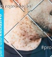 centralVtezeiro's tweet photo. Maluco não tem um puto no bolso pra fazer tratamento de pele, quem dirá 12,09 pra pagar em foto

https://t.co/eZiLNwK82z https://t.co/gWAnrWHezk