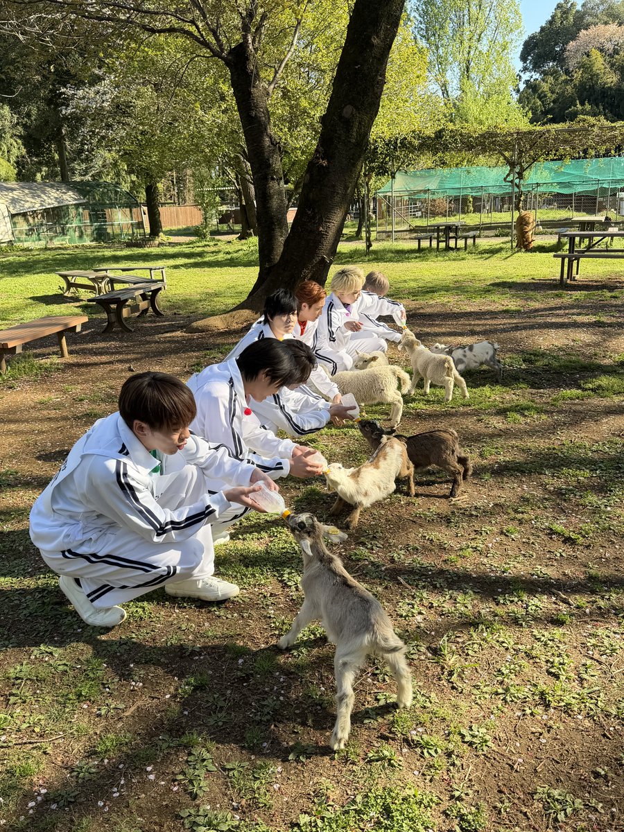 IMP. OFFICIAL tweet media