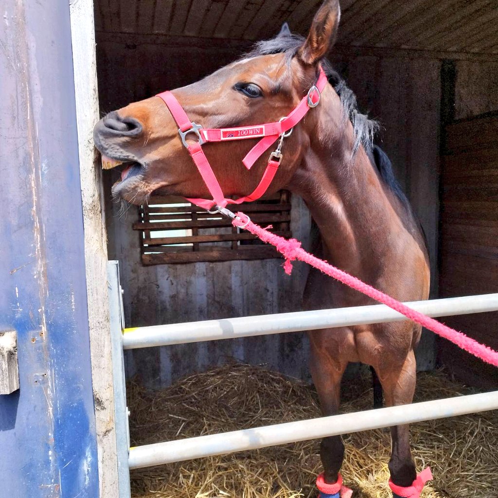 組）馬主組合みすじの会 tweet media