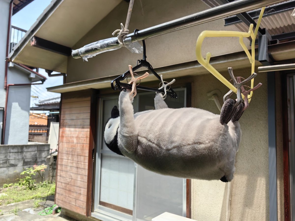 内岛氏理🐧 tweet media