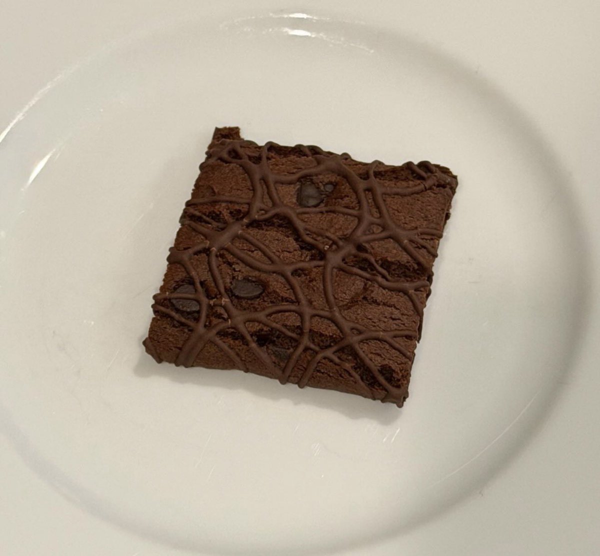 🪽| twt wont let me follow/post/respond tweet media