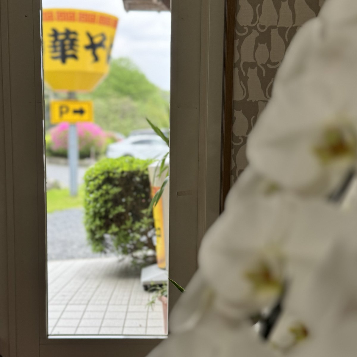 🍀ストライダ−.com🍀 tweet media