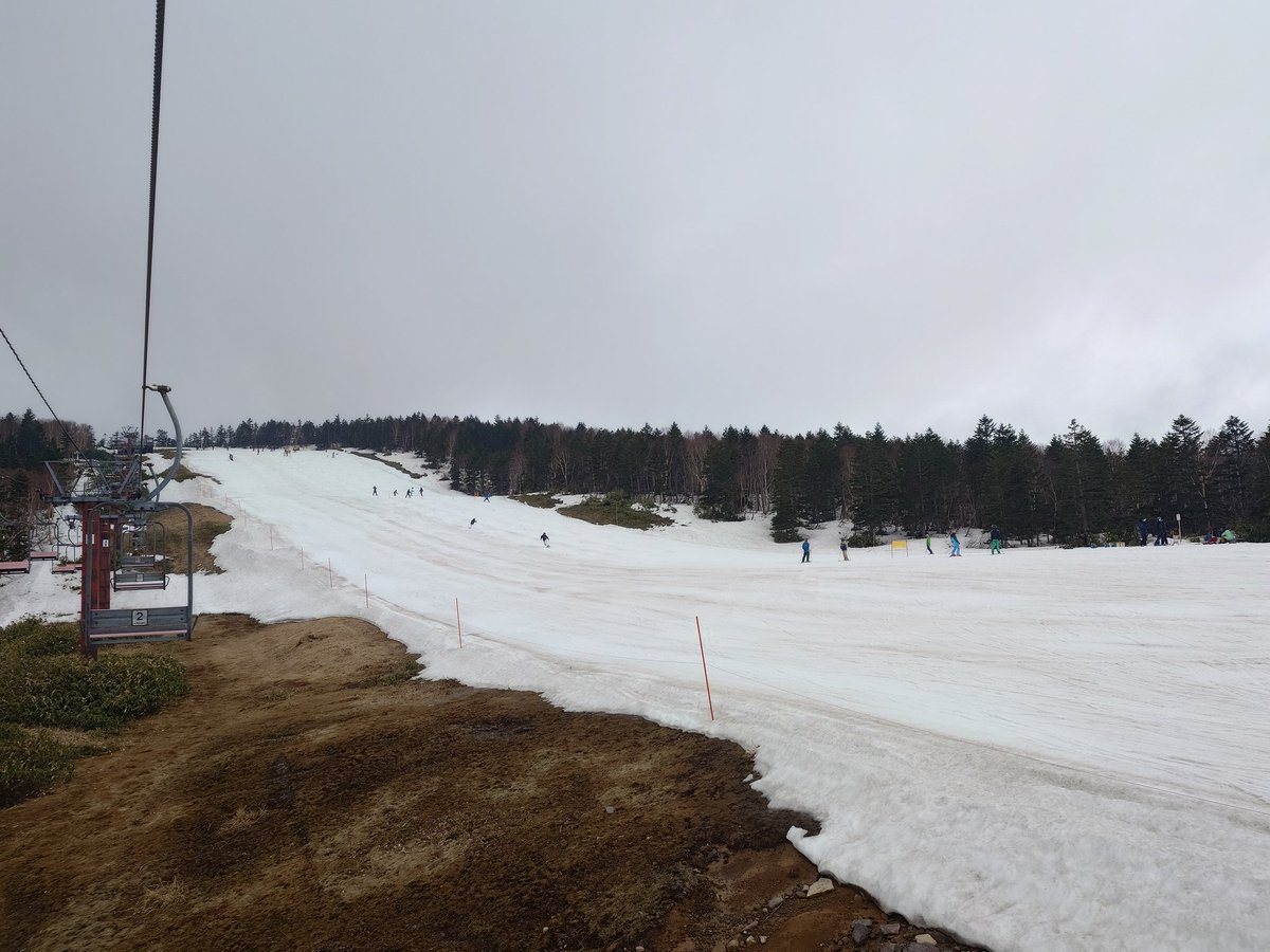 手抜き 42日目 tweet media