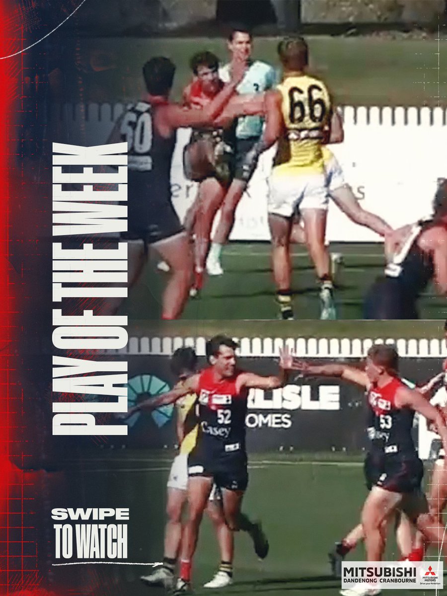 Casey Demons tweet media