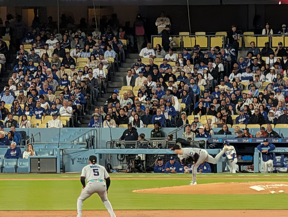 David A Marcillo tweet media