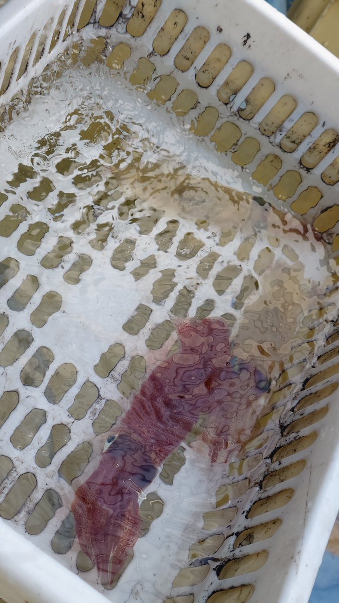 そらお tweet media