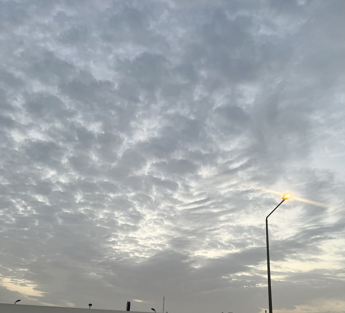 خـولـه tweet media