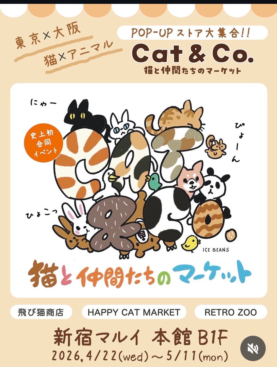 hamattingood's tweet photo. GWもぜひ新宿へ🎶
キャラてんこ盛りで派遣してます🙆
東京×大阪　猫×アニマルPOP-UP ストア大集合!!
Cat &amp; Co.
#猫と仲間たちのマーケット
#HAPPYCATMARKET
#RETROZOO
新宿マルイ 地下1階
日程:4月22日(水)~5月11日(月)
営業時間:11:00~21:00(地下1階のみ)⚠️最終日は17:00閉店 https://t.co/ZisnkaC3mo