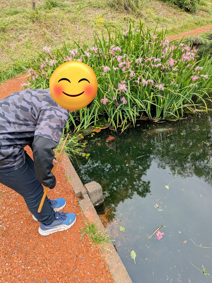 パパのり tweet media