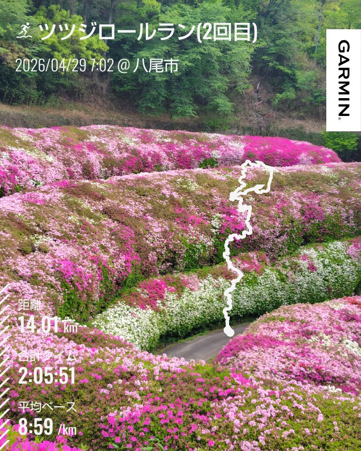 haru_jiiji's tweet image. 4/29  1608発目
14.01km #ランプラ

まーくん、皆さん、こんにちは
生駒ボルダー
ツツジロールラン(2回目)🌺
満開は週末？
次回3回目は
5/2(土) #parkrun のあと
らくらく登山道⤴️

先週から春のLiveWeek♬
#熱帯JAZZ楽団 #音礼・綴
今日は #風のハミング
行ってきま〜す😄

#ランニング