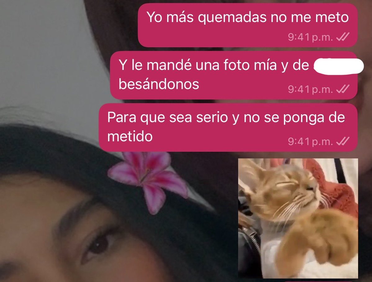 Ale campo tweet media