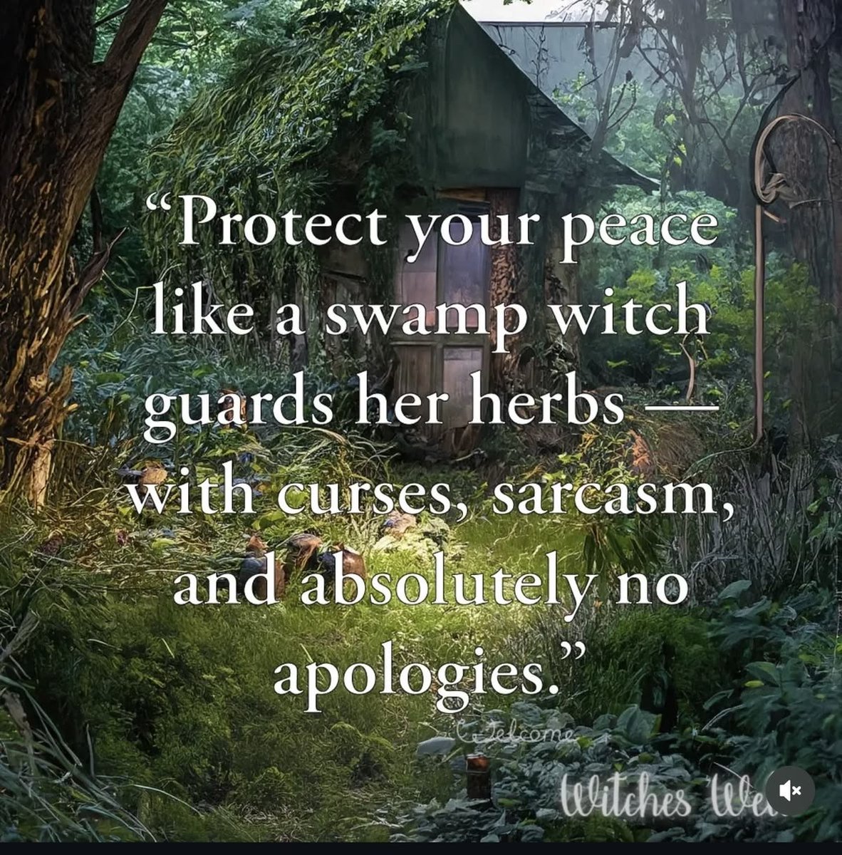 GrannyMooninVA's tweet photo. https://t.co/OXkCh4Ks1D