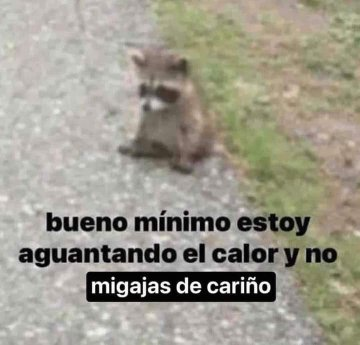 Pensamientos tweet media