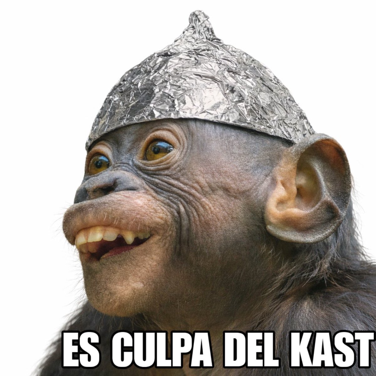 memerluzo's tweet photo. Colapsa el metro porque se tiró una persona a la vía….. los zurdos: https://t.co/0HS3LIY4Wl