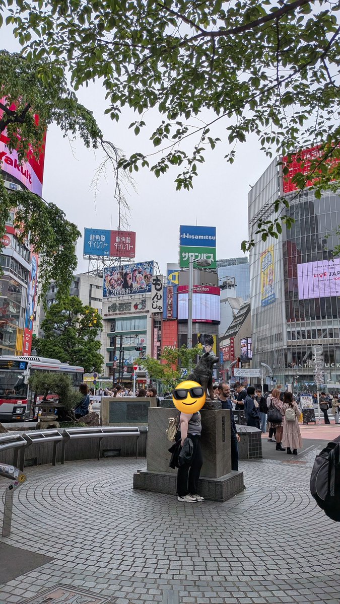 マサコ アブラノ tweet media