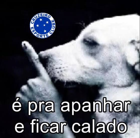 Dominik Cruzeirense 🦊 tweet media