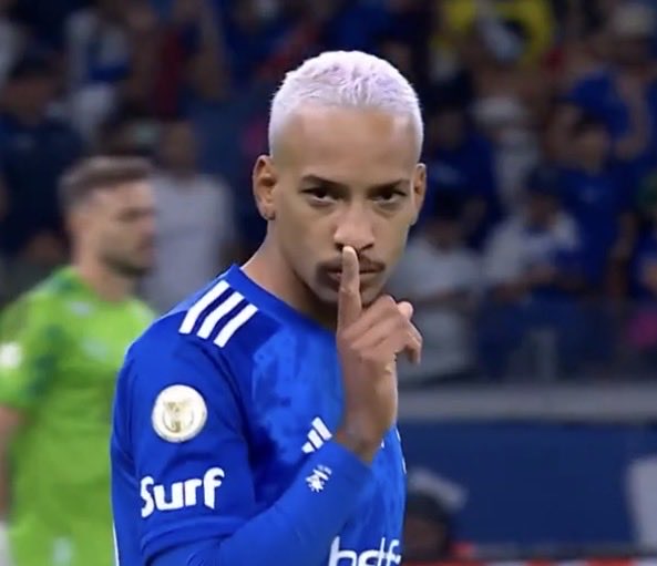 Leon🅰️rd_🦊💙 tweet media