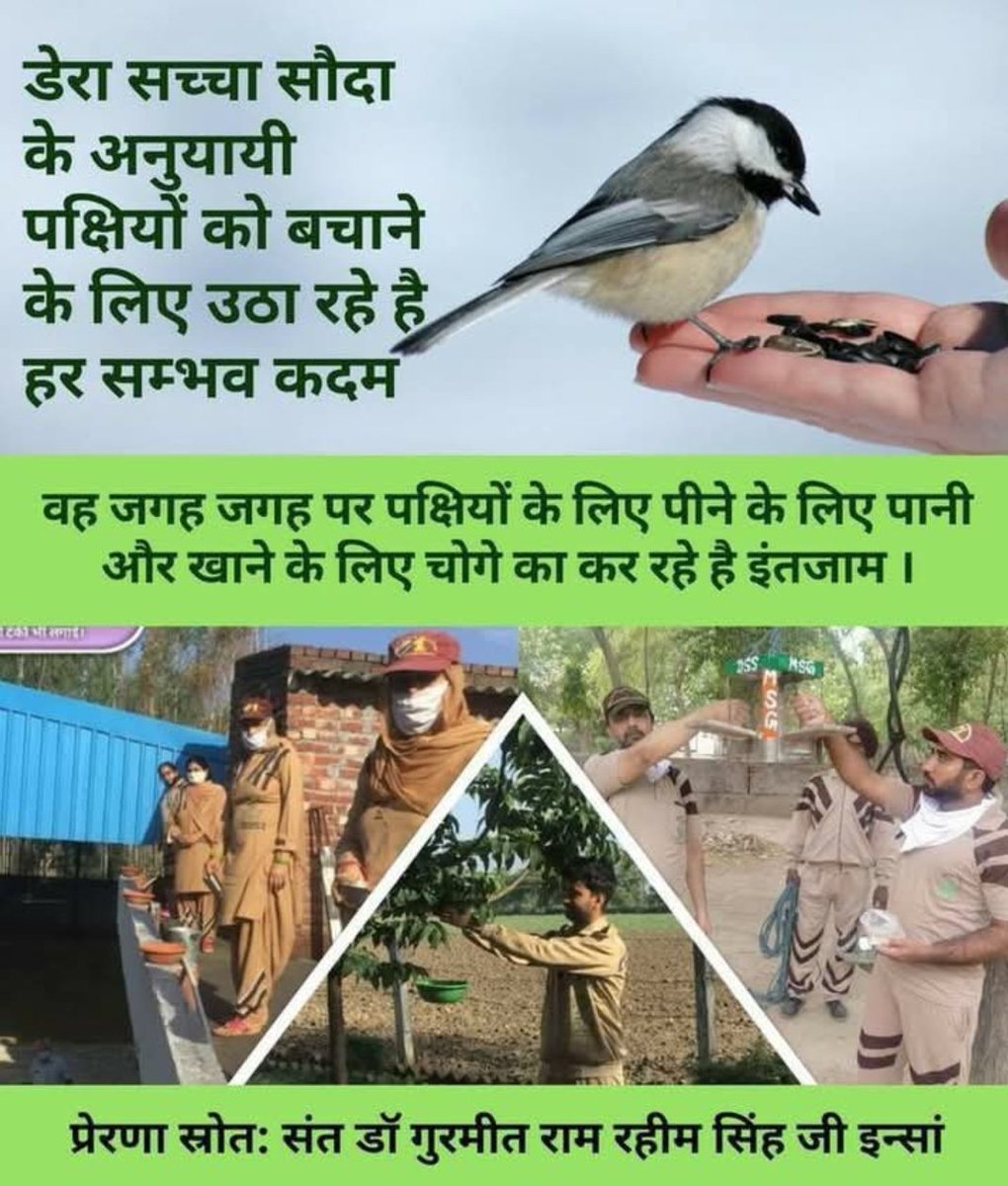 jitendermiglani tweet media