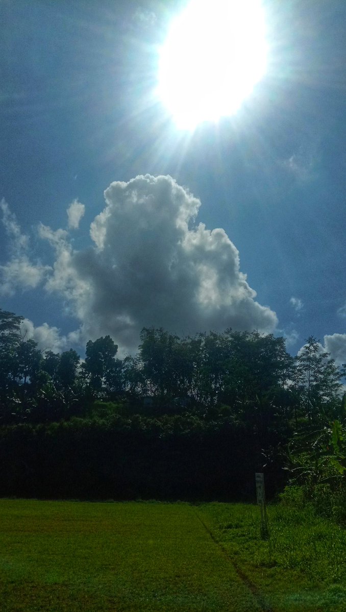 meyviya's tweet image. #walking

what a privilege to be able to see, hear, breathe, walk &amp;amp; talk.